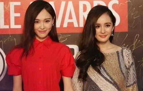 娱乐圈 塑料姐妹,揭秘背后的利益纠葛与表面和谐