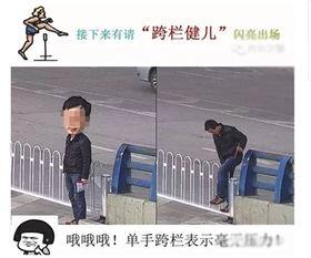 交通违章表情包看法,趣味解读交通违规现象
