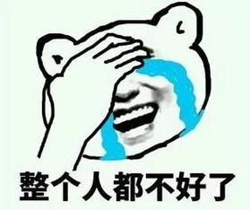 欣慰的图片,捕捉生活中的温馨与感动