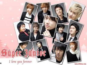 qq背景SuperJunior